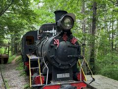 -五营红松林海景区