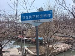 -南汇桃花村