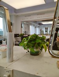 -镁连社·美联社
