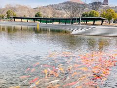 -牛首山文化旅游区