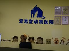 -瑞鹏宠物医院·爱宠堂·骨外专科(西荷分院)