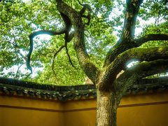 -西园戒幢律寺