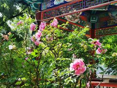 -西宁市人民公园(城西区)