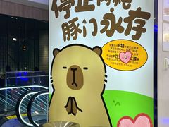 -凯德MALL(西直门店)
