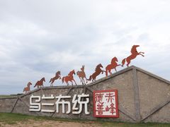 -贡格尔草原