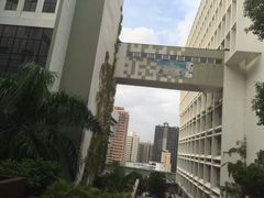 -香港大学