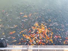 -泉城欧乐堡梦幻世界