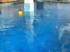 -SHRIMP CLUB万东餐饮钓虾·清吧