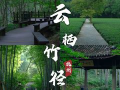 -云栖竹径