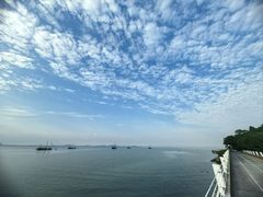 -贡湖湾湿地公园