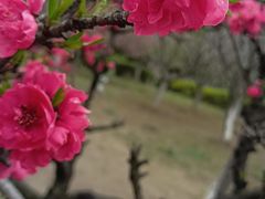 -白塘生态植物园