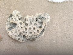 -西涌国际滨海旅游区