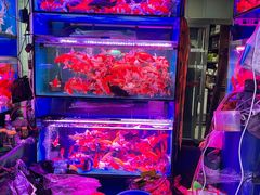 -花鸟鱼虫鲜花绿植市场(玉泉路店)