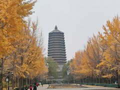 -玲珑塔公园