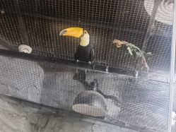 -Zoolung Zoolung动物主题公园(海信广场店)