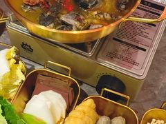 -Darling Queen·Mini·Live·House