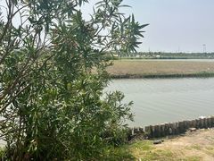 -春花秋色城市公园