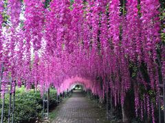 -宝岩生态观光园