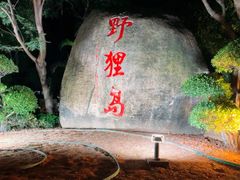 -野狸岛