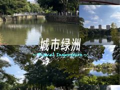 -晓港公园