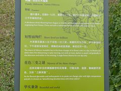 -云溪植物园