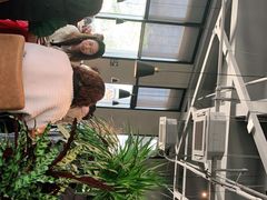 -West10 西拾·西餐厅·创意菜(未来科技城店)