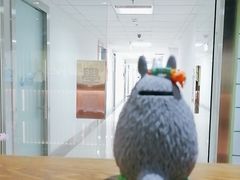 -学习谷日语培训日本留学·多语种外语教学(海淀人大分部)