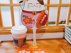 茉香奶绿-猫在这儿猫咪咖啡馆·撸猫馆