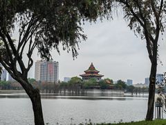 -顺峰山公园