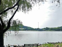 -上海月湖雕塑公园