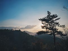 -四明山国家森林公园
