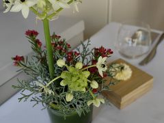 -蝶舍·MAISON PAPILLON