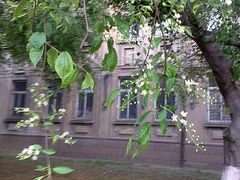 -辽宁大学(崇山校区)