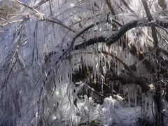 -太子岭滑雪场