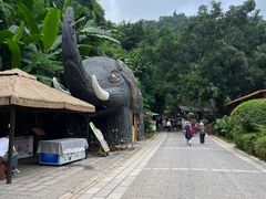 -野象谷景区