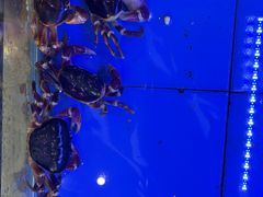 -膳富贵黄油蟹体验馆(欢乐港湾店)