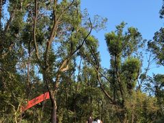 -岳麓山风景名胜区