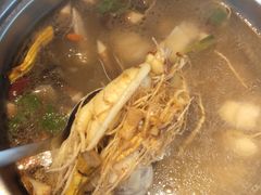 鲜人参火锅-千岛蚝高压锅生蚝·人参火锅(白云万达店)