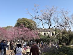 -无锡梅园公园