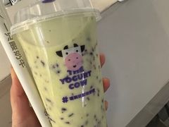 -一只酸奶牛(丹尼斯大卫城店)