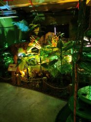 -恐龙探索乐园(磁器口店)