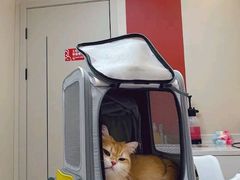 -御宝贝24h宠物医院·转诊中心·CT核磁血透中心(厦门总院)