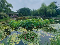 -国家植物园南园