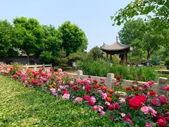 -三里河公园