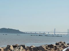 -野狸岛