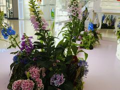 -天河城购物中心