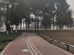-蜀绣公园