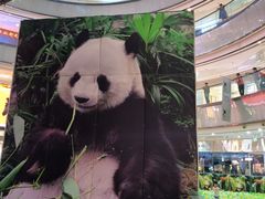 -万达广场(长沙开福店)