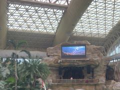 -杭州开元森泊度假乐园