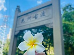 -晓港公园